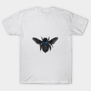 Blue Banded Bee T-Shirt